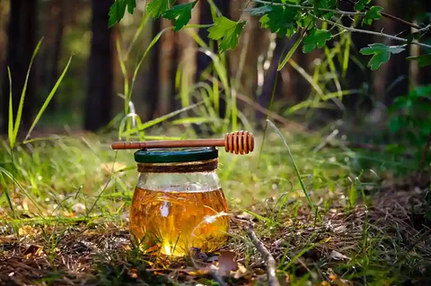 Forest Honey 900g
