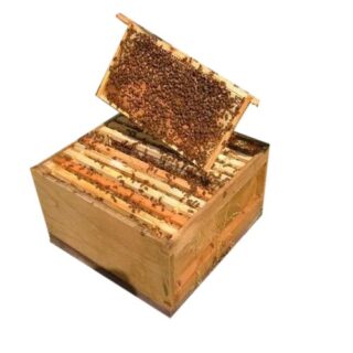 Box Honey 900g